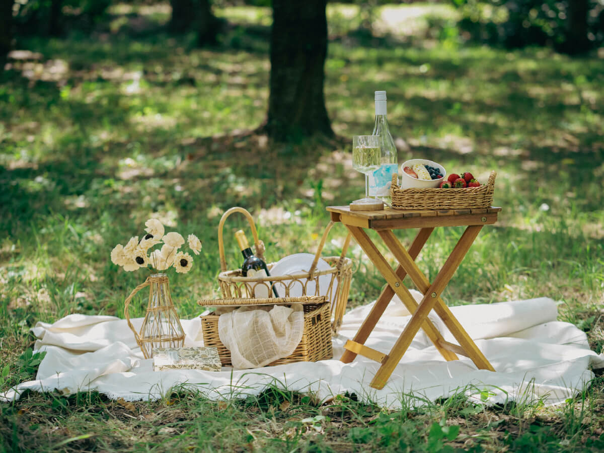 PICNIC